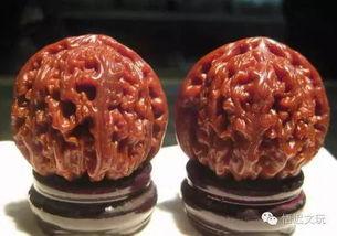 核桃印象爆料视频大全,揭秘幕后故事与精彩瞬间